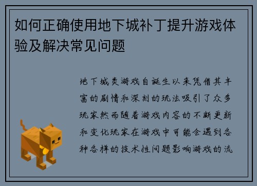 如何正确使用地下城补丁提升游戏体验及解决常见问题